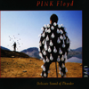 Delicate Sound of Thunder (Live) - Pink Floyd
