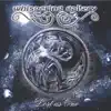 Whispering Gallery - See Beyond the Void
