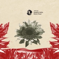 Brabo's Hand (Radio Edit) - Single - Ramon Tapia