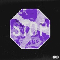 HIS (Hate I Stopped) [Deluxe Version] - Crazii da Don