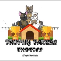 Dog Talk - Single - Wiimane