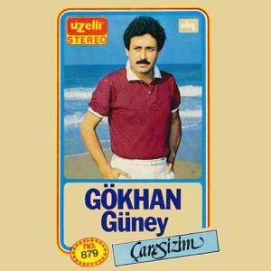 Çaresizim
