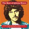 The Best of Johnny Rivers artwork