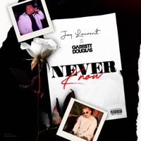 Never Know (feat. Garrett Douglas) - Single - Jay Laurent