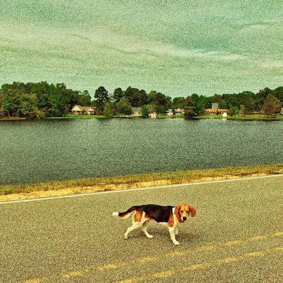 Cover artwork for The Bay