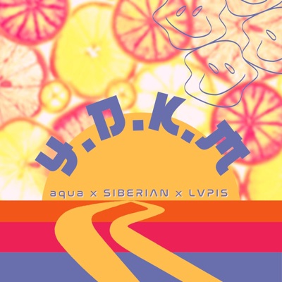 YDKM (feat. Siberian & LVPIS) [Radio Edit] - Single