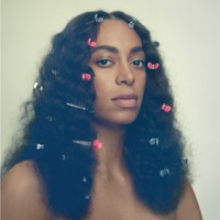 Cranes in the Sky - Solange