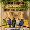 Andre Magalhães - Chitãozinho e Xororo