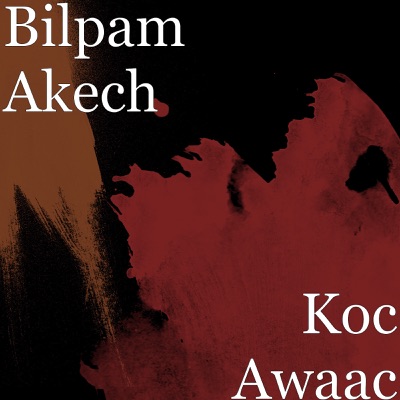 Song - Nhom Ding Ku Nhom Areu - Bilpam Akech
