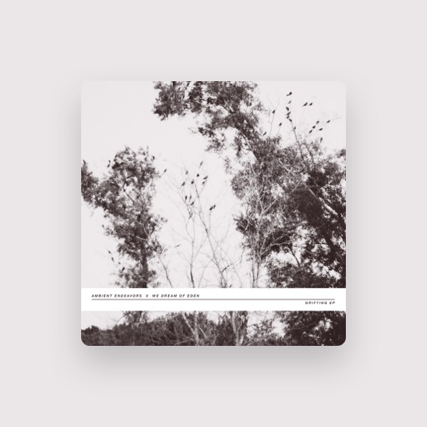 Ambient Endeavors's avatar