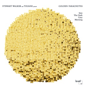 Into the Dark Grey Morning (feat. Stewart Walker and Gregory Shiff & Touane)
