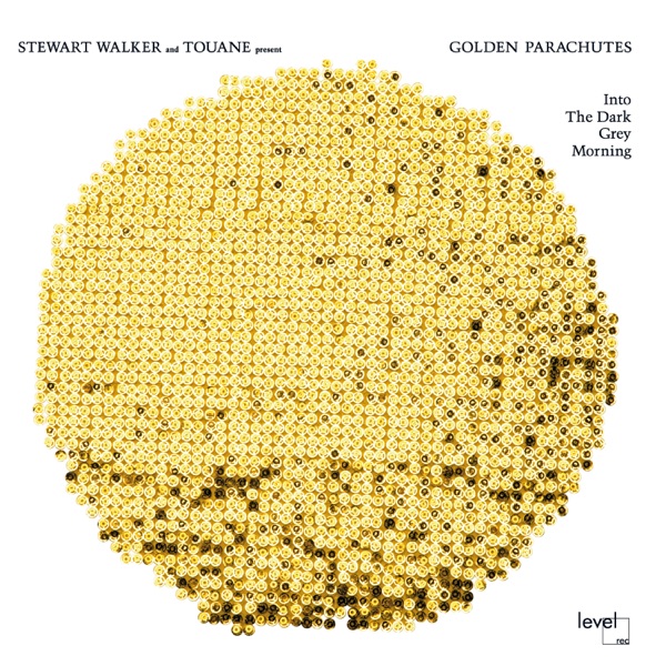 Into the Dark Grey Morning (feat. Stewart Walker and Gregory Shiff & Touane)