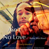 Ain't No Love (feat. Bobby "Blue" Bland) artwork