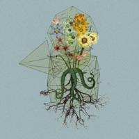 Que - Single - Forrrest