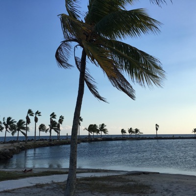 Don't You Worry Bout Me - Single