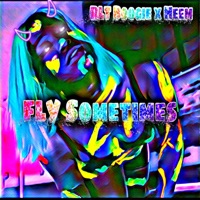 Fly Sometimes (feat. Heem) - Single - RLT Boogie