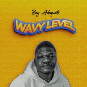 Wavy Level artwork