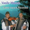 Vasile Mucea