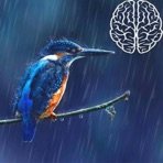 Birds in the Rain - EP