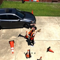 Sippy Cup - Single - Catslash