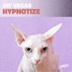 Hypnotize Single