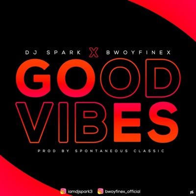 GOOD VIBES (feat. DJ Spark) - Single