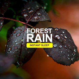 Forest Rain Instant Sleep - EP