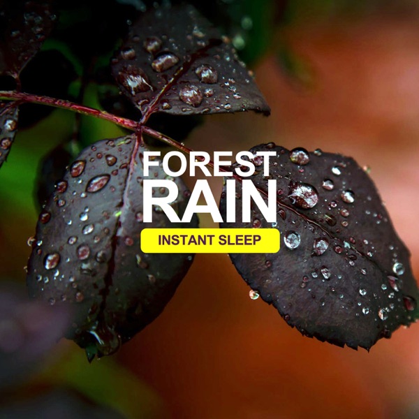 Forest Rain Instant Sleep - EP