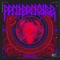 Transidient Doorways - PANTERNOISE lyrics