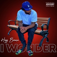 I Wonder - Single - Hogg Booma