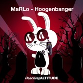 Hoogenbanger (Extended Mix) artwork