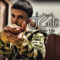 J Cats (feat. Boxer Loko) - Single - Peysoh