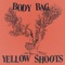 BODY BAG (feat. Ryan Mitchell Grey) - Yellow Shoots lyrics