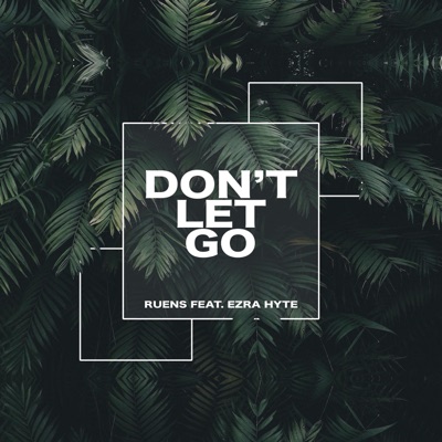 Don't Let Go - Single