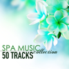 Spa Music Collection - 50 Tracks of Soothing Sounds of Nature for Wellness Centers and Hotel Lounge - Brenda Evora