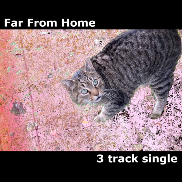 Far From Home 3 Track Single - Single