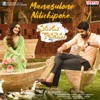 Manasulone Nilichipoke (feat. Naga Shaurya & Ritu Varma) [From "Varudu Kaavalenu"] - Single