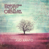 Saraiman - Barcelona Gipsy balKan Orchestra