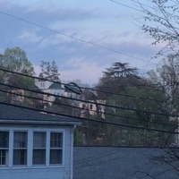 July - Single - Dave Hirsh