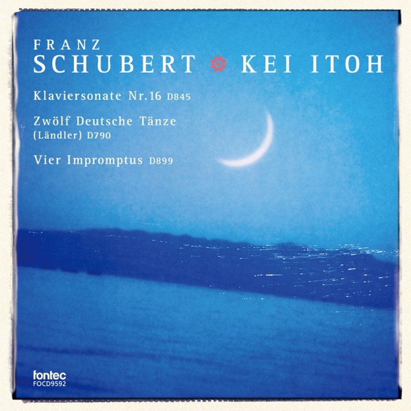 Schubert Piano Works 5
