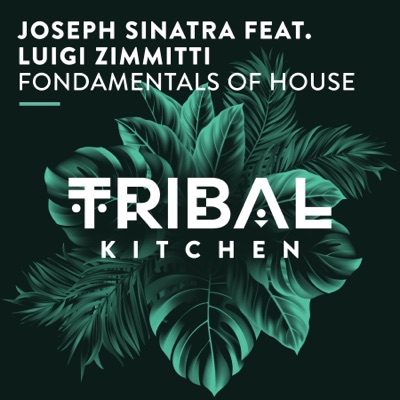 Fondamentals of House (feat. Luigi Zimmitti) - Single