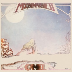 MOON MADNESS cover art