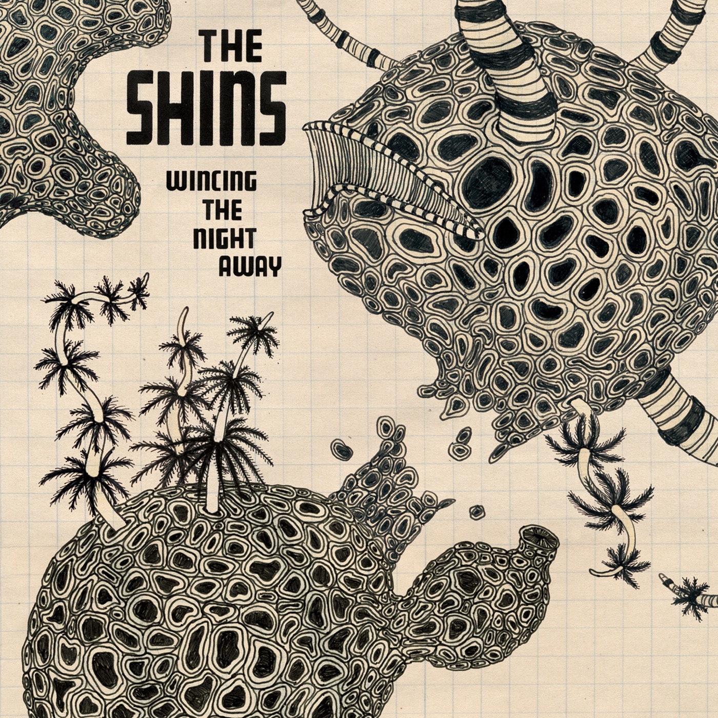 Wincing the Night Away by The Shins