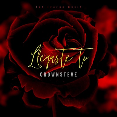 Llegaste tú - Single