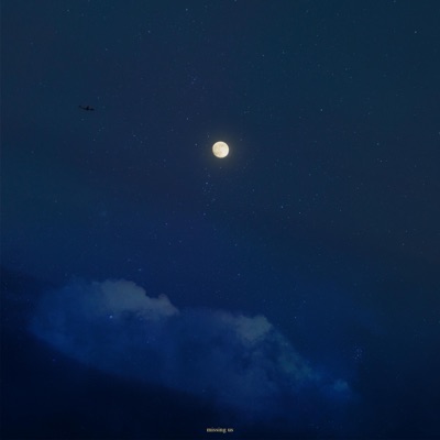 Missing Us - Single