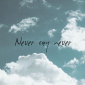 Never Say Never artwork