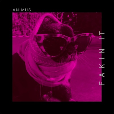 Fakin It - Single