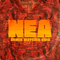 Nea (Remix) [feat. grupo zojojo] - Single - Dj Materia Gris