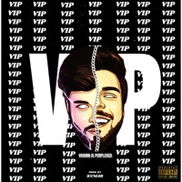 VIP (Vhamn Is Perplexed) - EP - Vhamn & Sarcastically Kumar