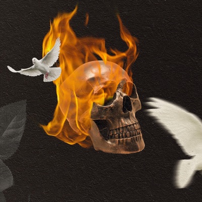 Duyguyu Seçerdim - Single